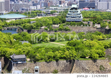ゴールデンウィーク、五月初旬、若葉、初夏の大阪城公園、タワマンのラウンジから望む新緑の大阪城 ゴールデンウィーク、五月初旬、若葉、初夏の大阪城公園、タワマンのラウンジから望む新緑の大阪城 114264665