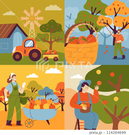 Hand drawn flat fruit harvest square illustration set with people collecting fruits from trees Hand drawn flat fruit harvest square illustration set with people collecting fruits from trees 114264699