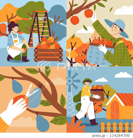 Hand drawn flat fruit harvest square illustration set with people collecting fruits from trees 114264700