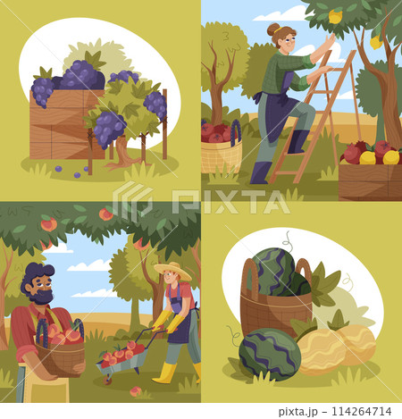 Hand drawn flat fruit harvest square illustration set with people collecting fruits 114264714