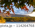 紅葉の山中湖より望む富士山 114264768