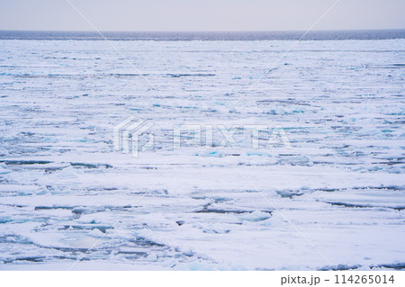 【北海道•紋別】オホーツク海の流氷群 【北海道•紋別】オホーツク海の流氷群 114265014