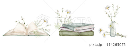 Watercolor illustration plants and stacks of books for reading, pile of textbooks for education. Chamomile or daisy and white little flower. Green and blue color illustration isolated on background Watercolor illustration plants and stacks of books for reading, pile of textbooks for education. Chamomile or daisy and white little flower. Green and blue color illustration isolated on background 114265073