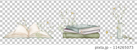 Watercolor illustration plants and stacks of books for reading, pile of textbooks for education. Chamomile or daisy and white little flower. Green and blue color illustration isolated on background Watercolor illustration plants and stacks of books for reading, pile of textbooks for education. Chamomile or daisy and white little flower. Green and blue color illustration isolated on background 114265073
