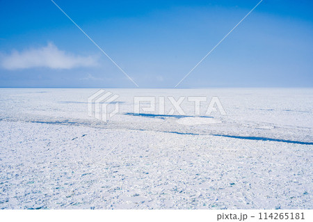 【北海道•知床】オホーツク海の流氷群 114265181