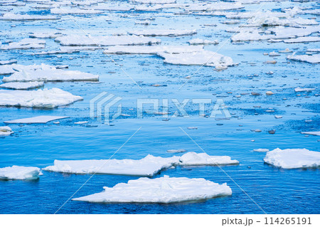 【北海道•知床】オホーツク海の流氷群 【北海道•知床】オホーツク海の流氷群 114265191
