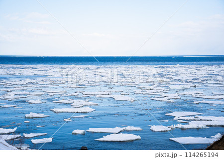 【北海道•知床】オホーツク海の流氷群 【北海道•知床】オホーツク海の流氷群 114265194