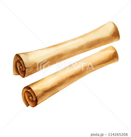 two watercolor old brown paper scrolls, vintage antique textured beige paper, illustration parchments with ripped edges and spots isolated white background 114265208