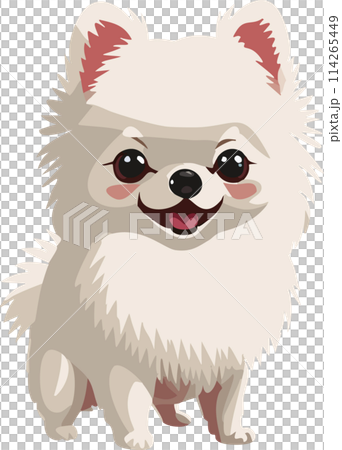 Pomeranian 114265449