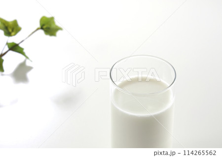 白い背景の牛乳 114265562