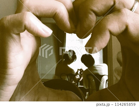 鏡越しに映る二人 鏡越しに映る二人 114265859