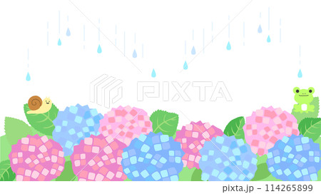 アジサイと雨の背景 114265899