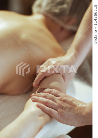 Massage therapist in massage cabinet massaging clients arm Massage therapist in massage cabinet massaging clients arm 114266318