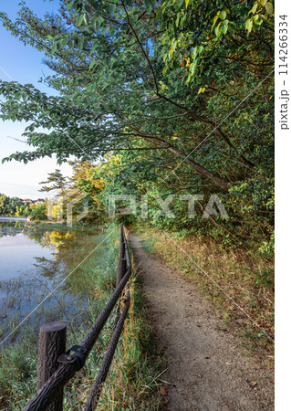 遊歩道から見た晩秋の情景 遊歩道から見た晩秋の情景 114266334