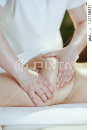Closeup on medical massage therapist massaging clients buttocks Closeup on medical massage therapist massaging clients buttocks 114266336