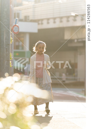 買い物をするシニア女性 114266563