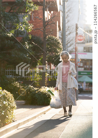買い物をするシニア女性 買い物をするシニア女性 114266567