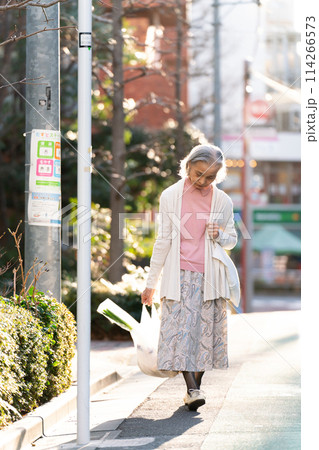 買い物をするシニア女性 買い物をするシニア女性 114266573