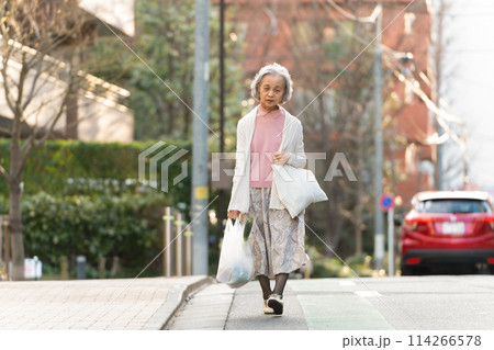 買い物をするシニア女性 114266578