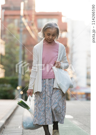 買い物をするシニア女性 買い物をするシニア女性 114266590