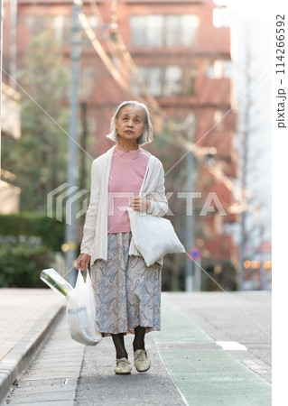 買い物をするシニア女性 買い物をするシニア女性 114266592