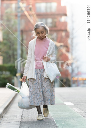 買い物をするシニア女性 114266594