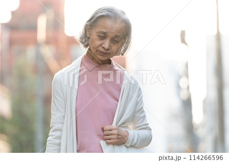 買い物をするシニア女性 114266596
