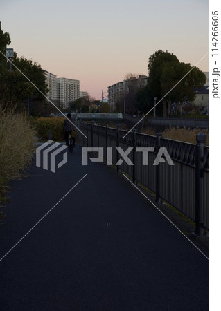 横浜市栄区　本郷台の夕景　町並み 114266606