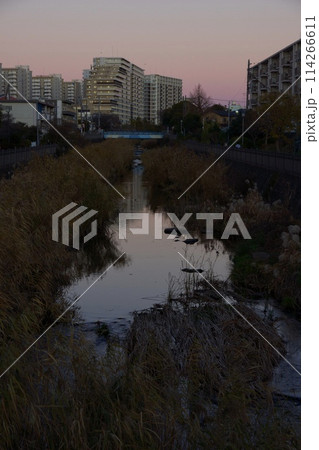 横浜市栄区 本郷台の夕景 町並み 横浜市栄区 本郷台の夕景 町並み 114266611