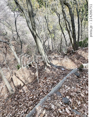 四阿屋山登山道の鎖場 114266751