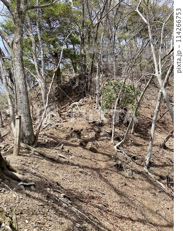 四阿屋山登山道の鎖場 114266753