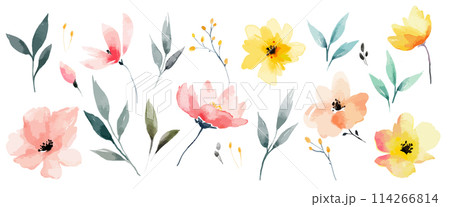 Watercolor vector flower set. Delicate abstract watercolor flowers and leaves 114266814
