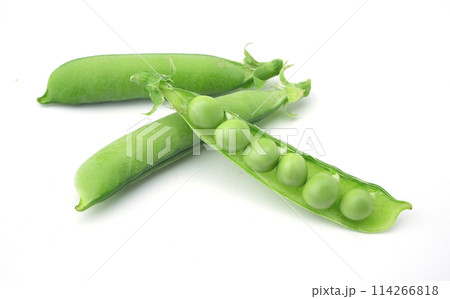 エンドウ豆 114266818