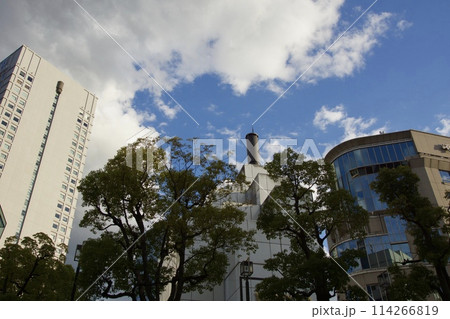 横浜駅東口方面の景色　都市風景 114266819