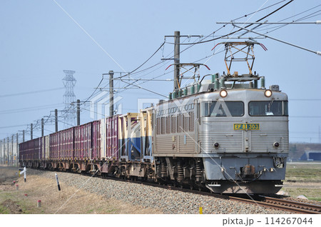 白新線 佐々木ー西新発田 JR貨物 EF81-303(門司) 白新線 佐々木ー西新発田 JR貨物 EF81-303(門司) 114267044