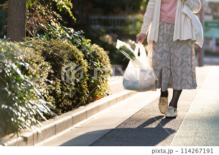 買い物をするシニア女性　足元 114267191