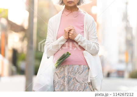 買い物をするシニア女性　手元 114267212