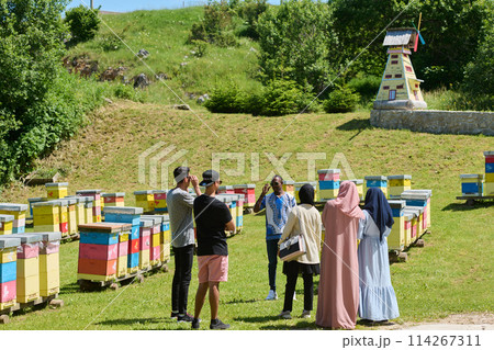 A diverse group of young friends and entrepreneurs explore small honey production businesses in the natural setting of the countryside. 114267311