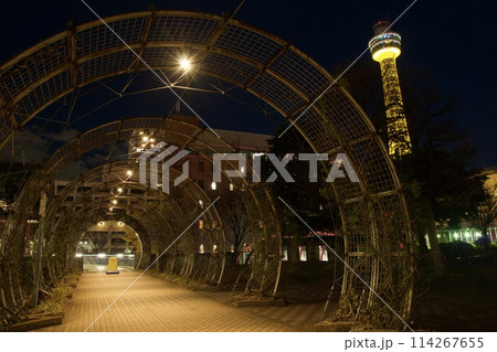 横浜みなとみらい 夜景 ライトアップ ヨルノヨ 横浜みなとみらい 夜景 ライトアップ ヨルノヨ 114267655