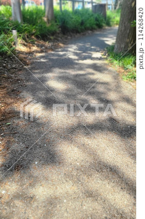 いつもの散歩道 いつもの散歩道 114268420