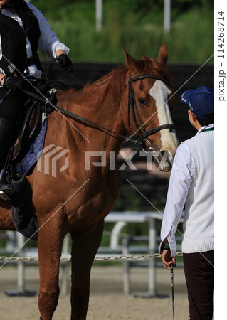 乗馬風景2024_➁ 114268714