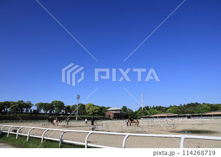 乗馬風景2024_⑥ 乗馬風景2024_⑥ 114268719