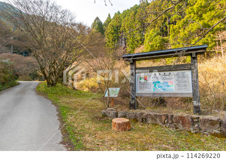 太平山　龍蔵寺へと続く参道（兵庫県丹波篠山市真南条上）※作品コメント欄に撮影位置 114269220