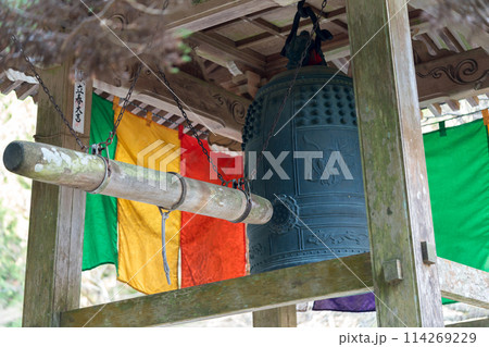 太平山　龍蔵寺へと続く参道に咲く野花（兵庫県丹波篠山市真南条上）※作品コメント欄に撮影位置 114269229