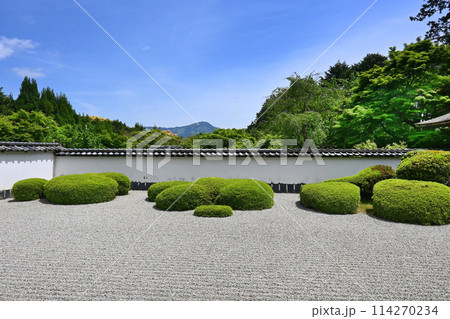 デヴィッドボウイが愛した京都市正伝寺の庭 114270234