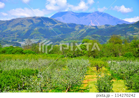 千曲川河川敷(小布施町)より飯縄山/飯綱山方面を望む(長野県小布施町)【2024.5】 千曲川河川敷(小布施町)より飯縄山/飯綱山方面を望む(長野県小布施町)【2024.5】 114270242
