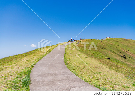 （静岡県）新緑の大室山・山頂遊歩道を歩く人達 114271518