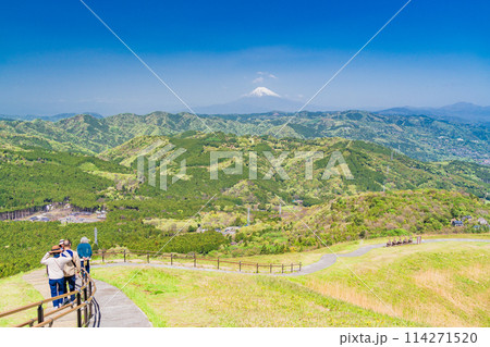 （静岡県）新緑の大室山・山頂遊歩道を歩く人達 114271520