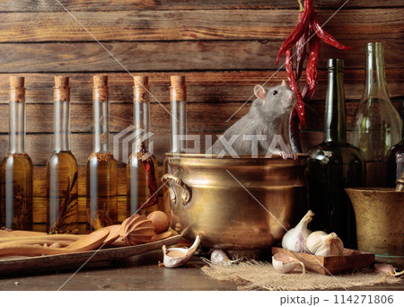 Rat on a table with old kitchen utensils. 114271806