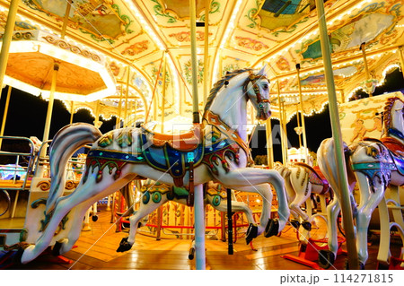 夜のメリーゴーランド 114271815